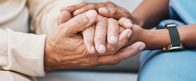 L'evoluzione dei fondi sanitari dalla nascita ad oggi, Priorità Salute